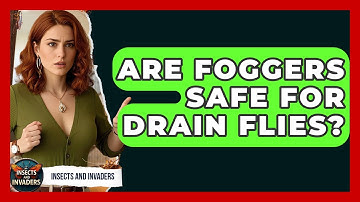 Are Foggers Safe For Drain Flies? - Insects and Invaders