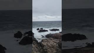 The winds have picked up for this nor'easter.