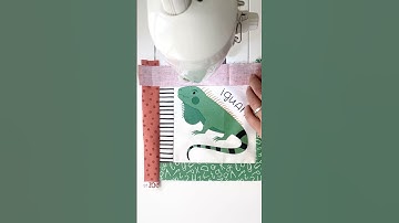 Fussy Cut Log Cabin Block