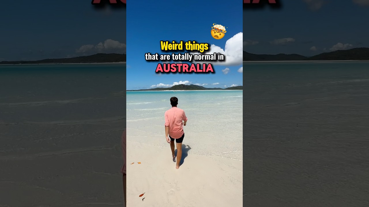 Странные вещи об Австралии 🇦🇺🤯 #австралия #путешествия #факты