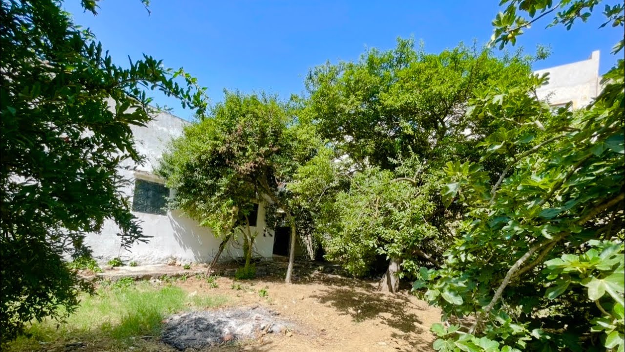 دار وغرسة راءعة مليئة باشجار الفواكة  فيها بير اصل الماء والكهرباء 0703640826 الخميس انجرة طنجة