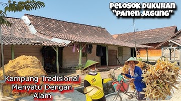 Kampung Jadul Warga Ramah & Bersahaja Bikin Betah Untuk Tinggal Blusukan Desa Gempolrejo Tunjungan