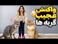 اولین دیدار دو دشمن خونی دارچین و نخود 