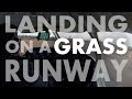 Turf Runway Landing in a Cherokee 140 (Mini-Episode 12)