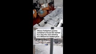 Dog chewing heated glove sparks fire at an Ottawa home