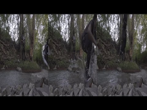 Flexy Official Video Clip