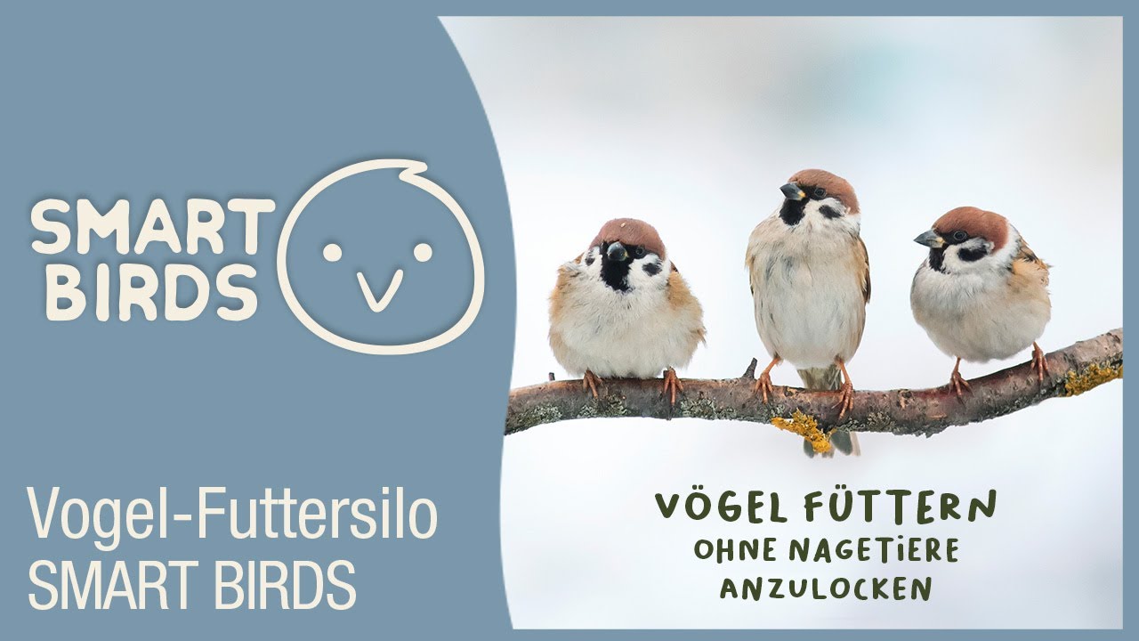 SMART BIRDS Vogel-Futtersilo by SWISSINNO