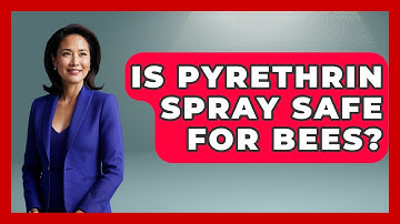 Is Pyrethrin Spray Safe For Bees? - Insects and Invaders
