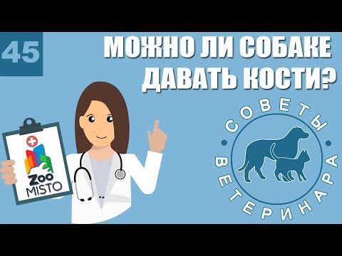 Можно ли собаке давать кости? | Как научить собаку есть кости? | Чем заменить? | Советы Ветеринара