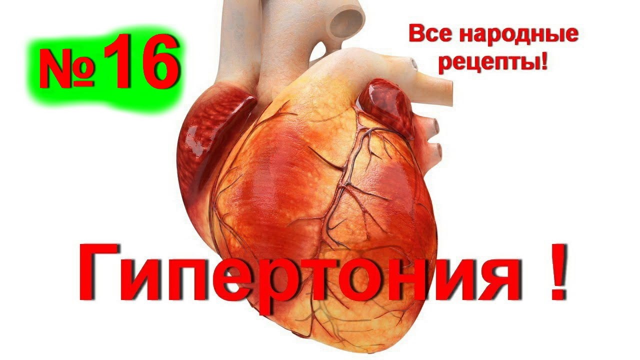 Гипертония ! Как вылечить гипертонию ! Снижение давления без лекарств -№ 16 | #гипертония #edblack гипертония лечение без таблеток