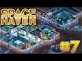 Space Haven – RimWorld Meets FTL Colony Sandbox // Let’s Play Part 7