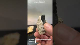 Moldavitas auténticas