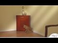 Corner Cat Litter Cabinet from The Refined Feline Corner Cat Litter Cabinet from The Refined Feline