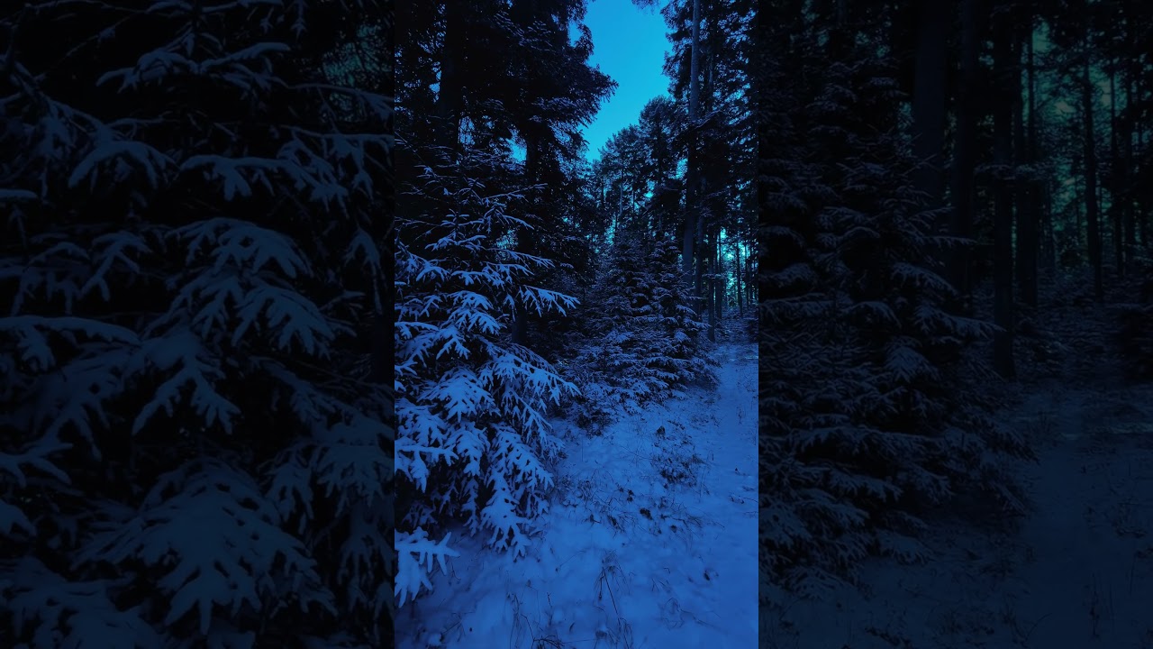 🌕 Calm View •.* music & cinema for quiet nights alone ⋆₊˚✧ by lunaneveralone • 