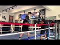 STEELEBOXER GYM ONLINE BOXING/KICKBOXING TRAINING PROGRAM www.steeleboxer.com