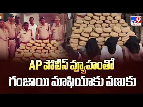 AP Police Operation Ganja Mafia | AP పోలీస్ వ్యూహంతో గంజాయి మాఫియాకు వణుకు - TV9 - TV9