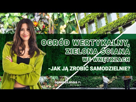 Ogród wertykalny, zielona ściana we wnętrzach - jak ją zrobić samodzielnie?