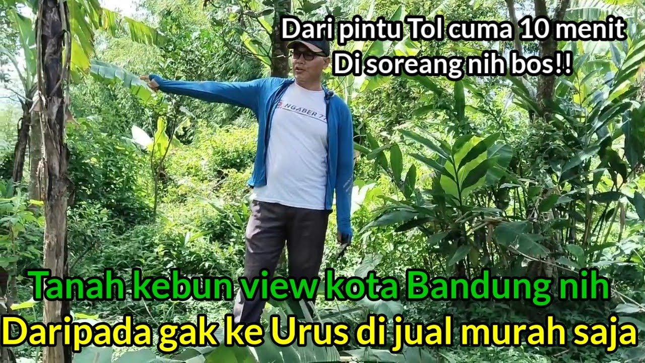 TERJUAL!!Kampung Pasir Hiris📌Ada Tanah murah nih 2500meter AJB 130000/meter 10menit dari tol