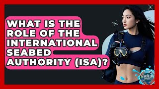 What Is The Role Of The International Seabed Authority (ISA)? - The Marine Life Explorer