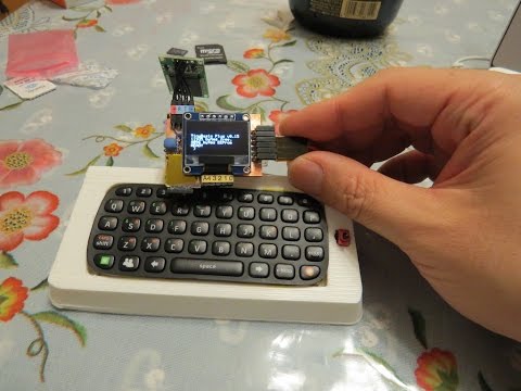 Same size (thumb sized computer) but with microSD and Camera!