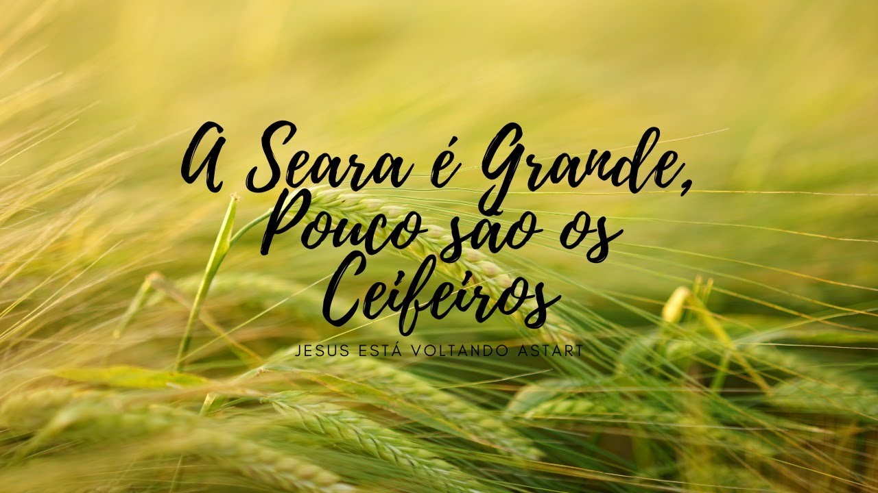 A ceara é grande... Poucos são os ceifeiros - YouTube