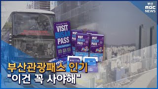 서울보다 잘 팔려..가성비 '갑' 부산 관광패스 (20…