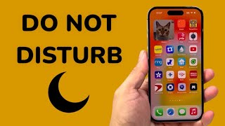 How To Use Do Not Disturb In Control Center On Your iPhone Net Worth