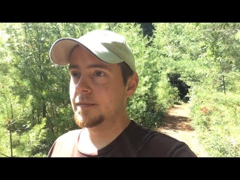 Nonsensical Rambling Nonsensical Rambling in the Forest + Footage from my Walk - YouTube
