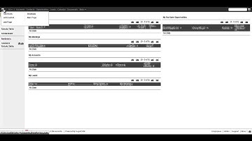 Custom SugarCRM Theme Features