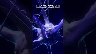 ¿Frutas contra el Alzhéimer? 🍎🧠 El poder del Ácido Elágico #shorts