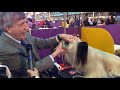 Michael Pesare: Skye Terrier at Westminster 2020 の動画、YouTube動画。