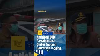 BERITA SUMUT | ANTISIPASI DBD PASCABENCANA, DINKES TAPTENG GENCARKAN FOGGING