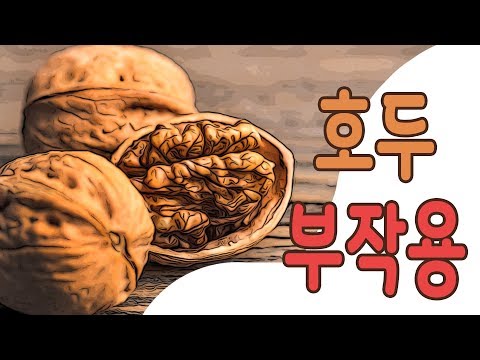 호두 부작용 몸에 좋은 견과류도 부작용이 있다고 해요! 호두부작용을 알아보겠습니다.