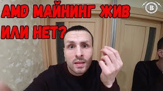 Что Майнить на AMD Поиск Дохода на тесте TurtleCoin