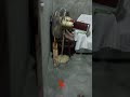4 Marla gas's bjli k sath Gujranwala kangni Wala sirf