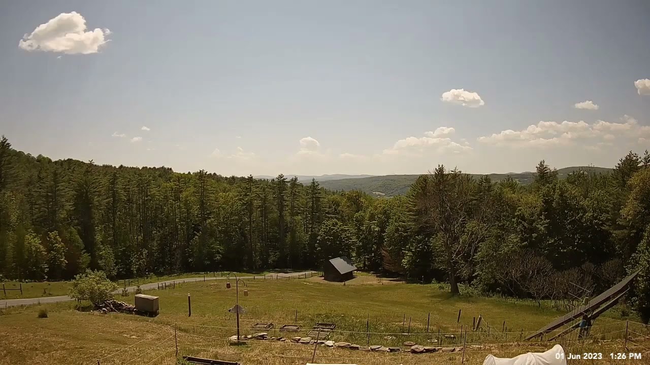 June 01 2023 - Timelapse