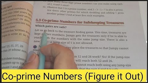 Co-Prime Numbers For safekeeping Treasure |Chapter -5 Prime Time | Class -6th Maths - Ganita Prakash