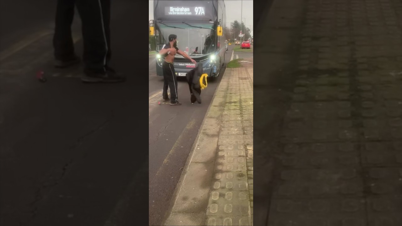 Birmingham is a lost cause…🇬🇧