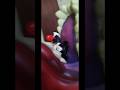 monster eating Mickey mouse #scary #viralshort