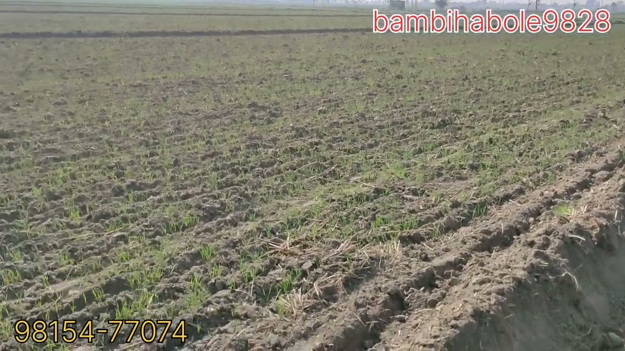 ਨੈਸ਼ਨਲ ਹਾਈਵੇ ਦੇ ਨੇੜੇ ਇੱਕੋ ਘੇਰੇ ਦਾ ਪੱਚੀ ਕਿੱਲਿਆਂ ਦਾ ਟੱਕ ਵਿਕਾਊ @bambihabole9828