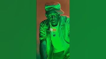 Crowd SHOCKS Tyler The Creator 🤯🎤