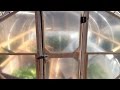 How I Built Our DIY Hoop House (Greenhouse), pt. 2: Door & Plastic Cover