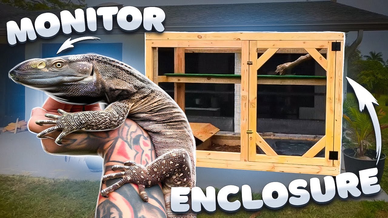 Создаём НОВЫЙ УЛУЧШЕННЫЙ вольер для моего чёрного горлового варана Оникс! Сделай сам!
