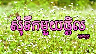 សុំទឹកមួយផ្តិល ភ្លេងសុទ្ធ / Karaoke/Home of Music/Official Karaoke