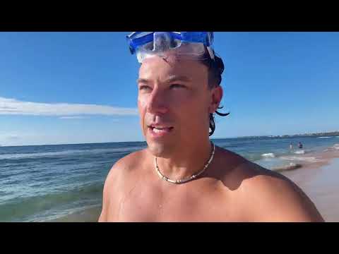 Maui: Coffee, Turtles, Waterfalls 