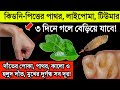 কিডনির পাথর, টিউমার, লাইপোমা গলিয়ে দেবে এই পাতা || দাঁতের কালো ও হলুদ দাগ, পোকা, মুখের দুর্গন্ধ দূর!