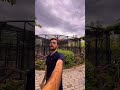 Sirf Rs.50 Mein Bengal Tiger Feeding Experience 🐅 | Multi Zoo B-17 Islamabad #islamabad #lions #zoo