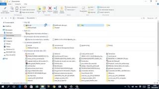 Uso de App Izarc