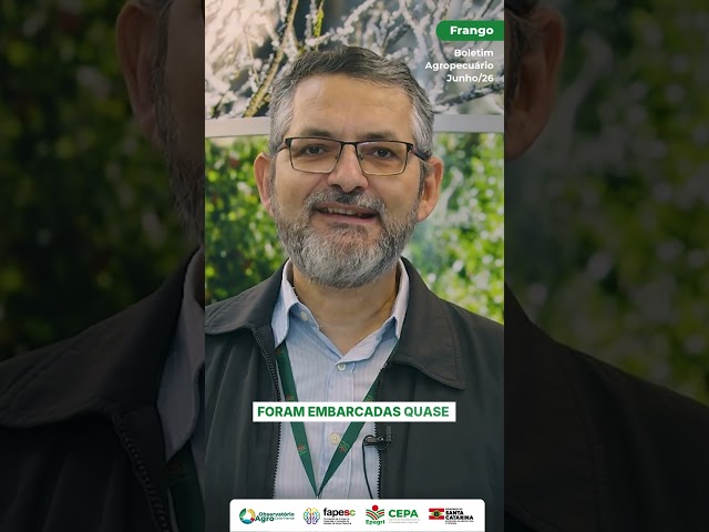 Exportações de frango têm melhor receita desde 2018