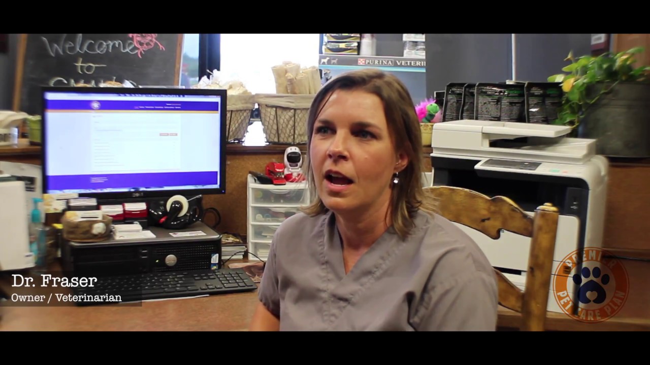 In the Clinic with The Premier Pet Care Plan YouTube